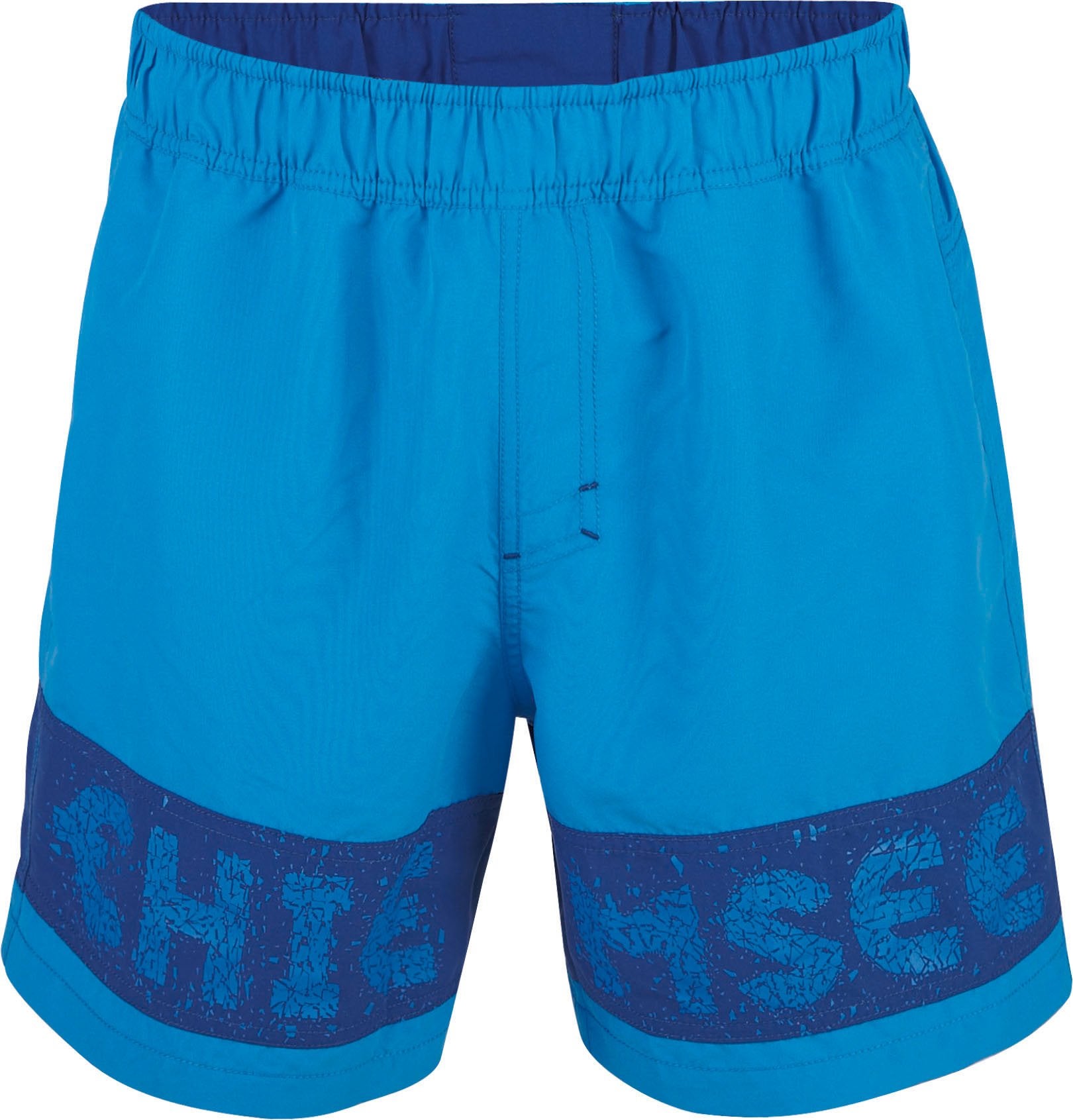 ILJA 2 Blue Aster ILJA 2 Blue Aster