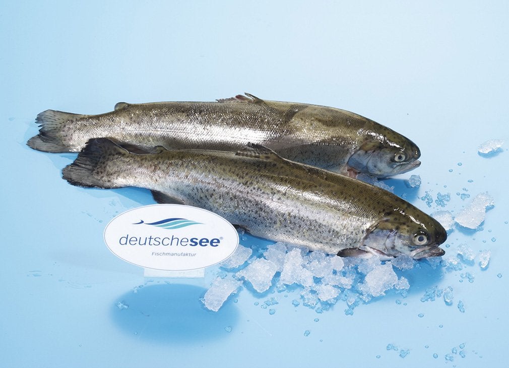Rainbow trout Rainbow trout
